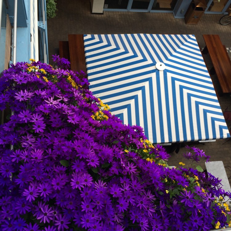 Värvilisi seiklusi!